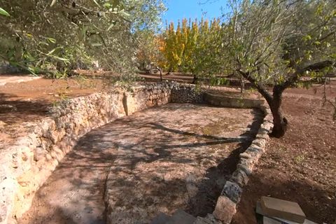 Landejendom i Ostuni, Brindisi, Ostuni - € 87.000 | Ref: 149 - foto 7